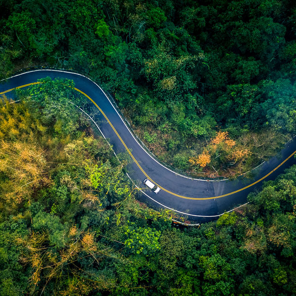 Aerial view of car driving through forest